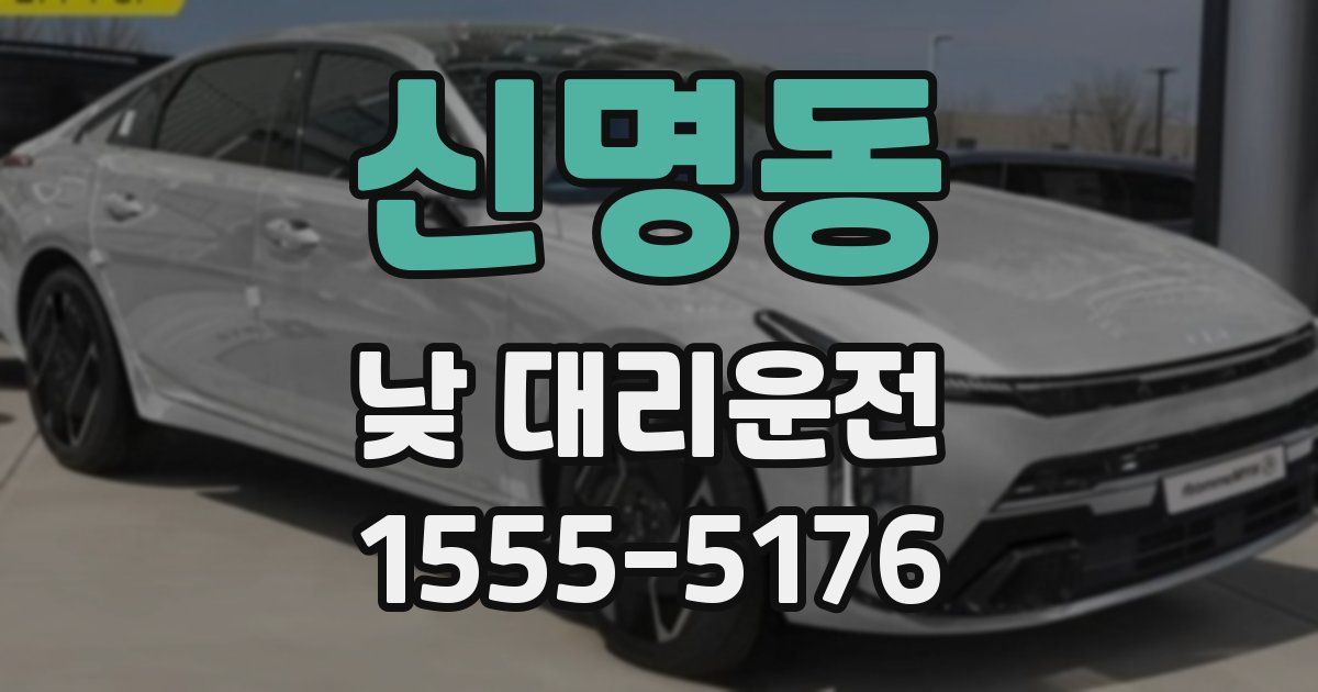 신명동 낮 대리운전