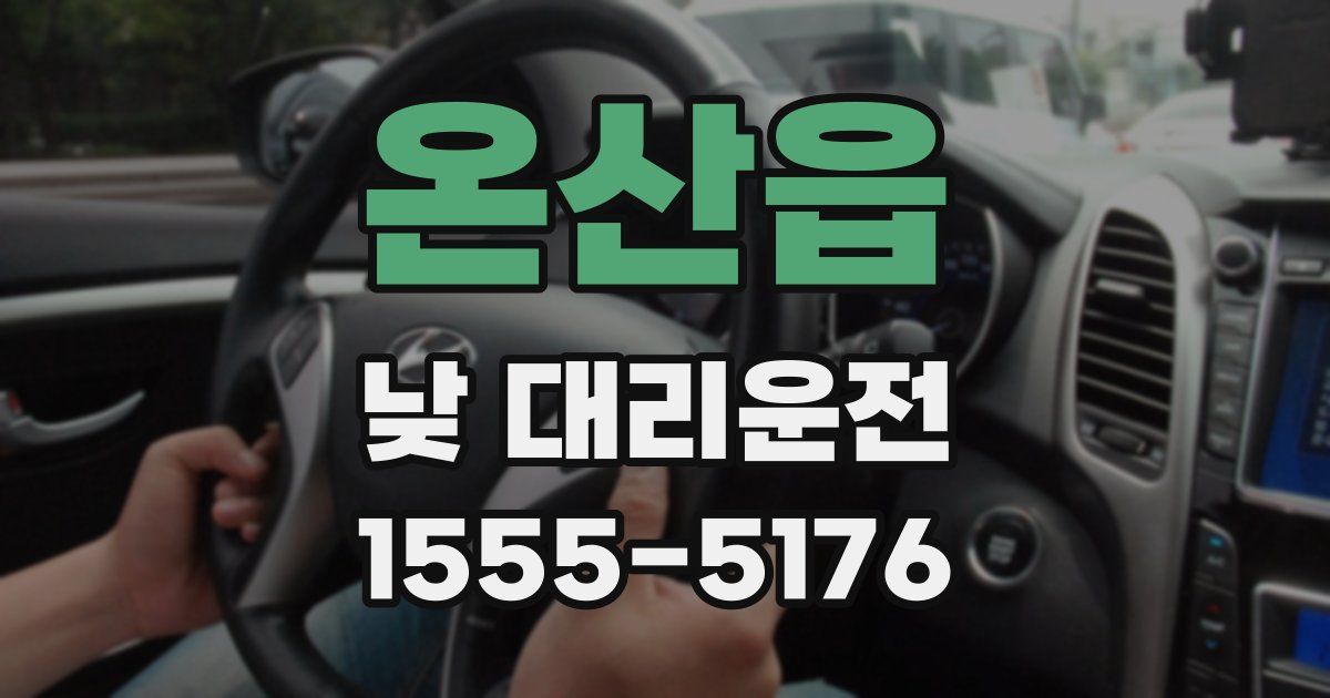 온산읍 낮 대리운전