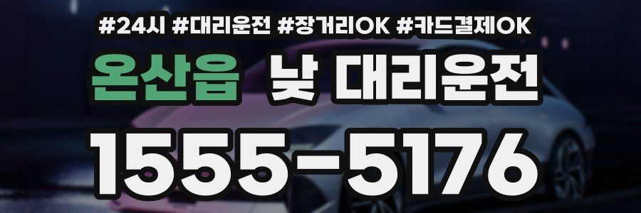 온산읍 낮 대리운전