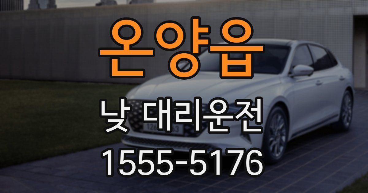 온양읍 낮 대리운전