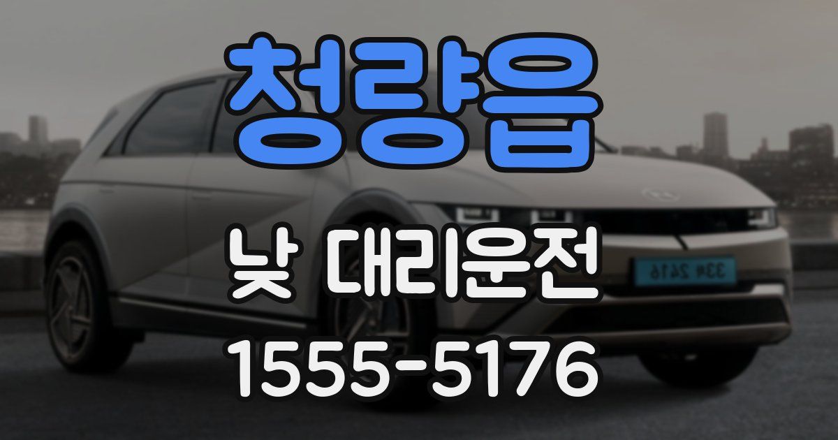 청량읍 낮 대리운전