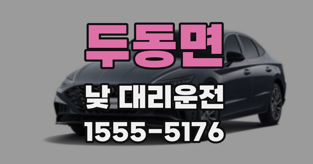 두동면 낮 대리운전
