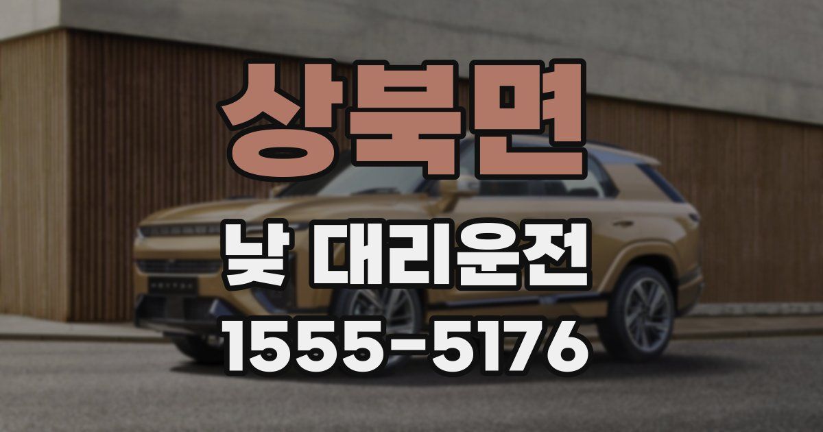 상북면 낮 대리운전