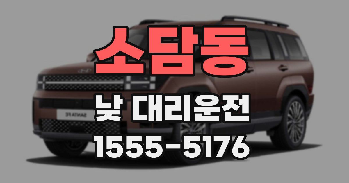 소담동 낮 대리운전