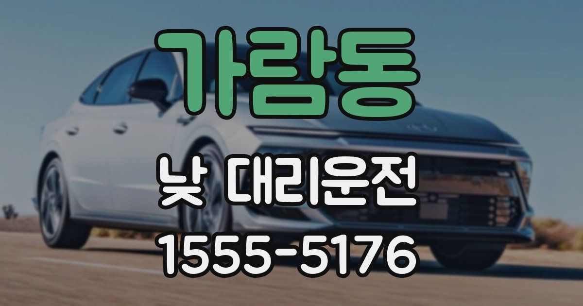 가람동 낮 대리운전