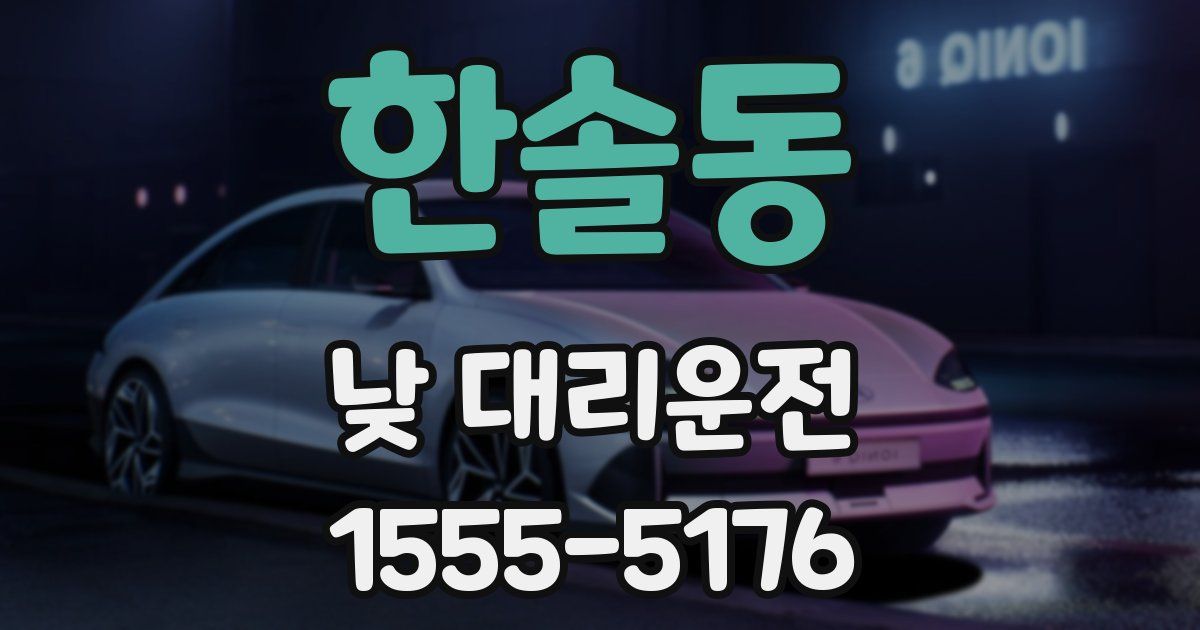 한솔동 낮 대리운전