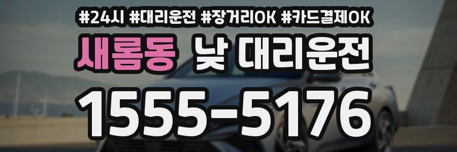 새롬동 낮 대리운전
