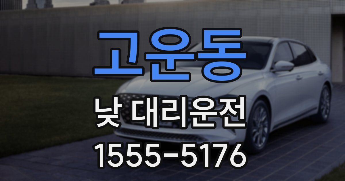 고운동 낮 대리운전