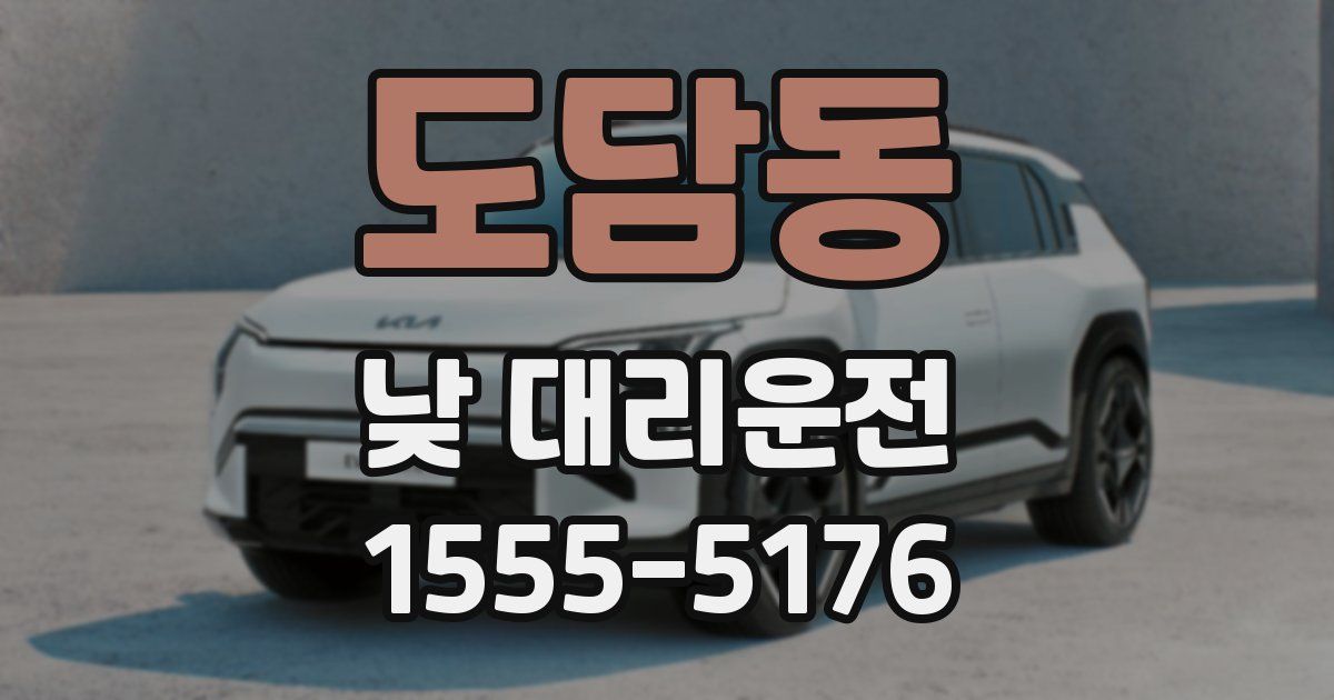 도담동 낮 대리운전
