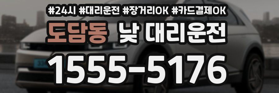 도담동 낮 대리운전