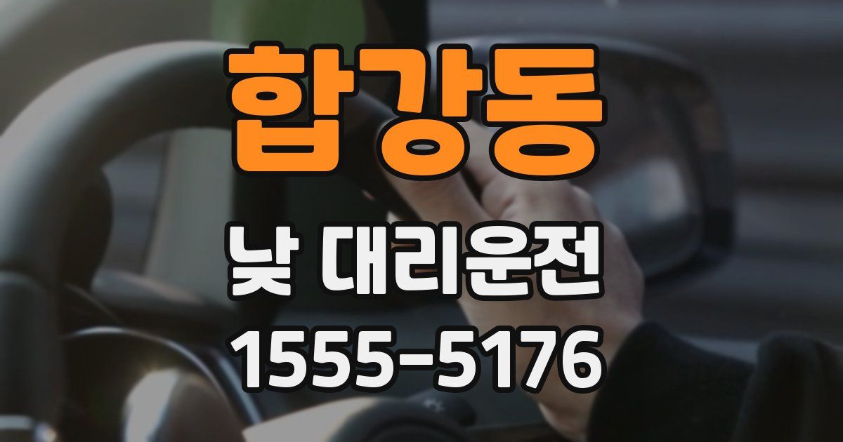 합강동 낮 대리운전