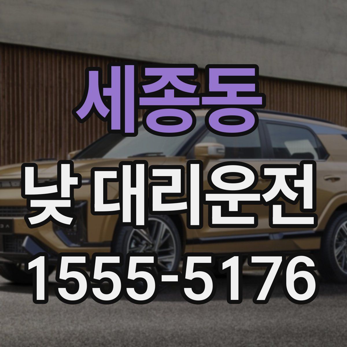 세종동 낮 대리운전