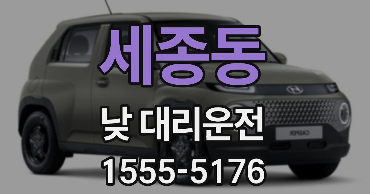 세종동 낮 대리운전