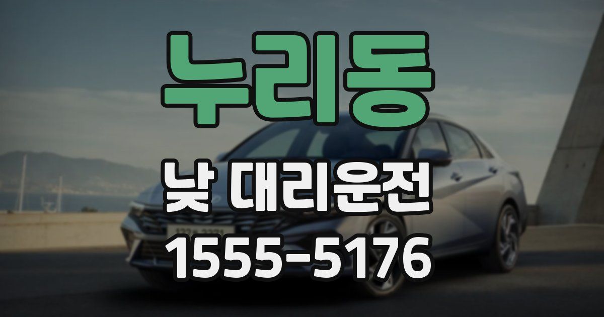 누리동 낮 대리운전