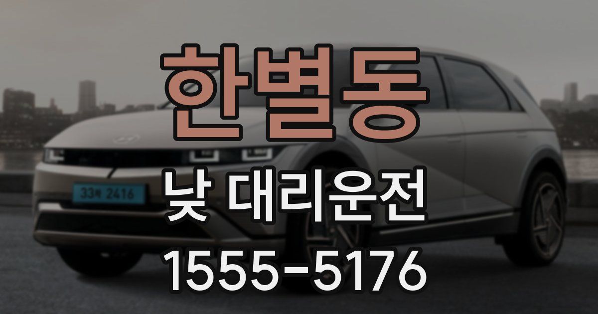 한별동 낮 대리운전