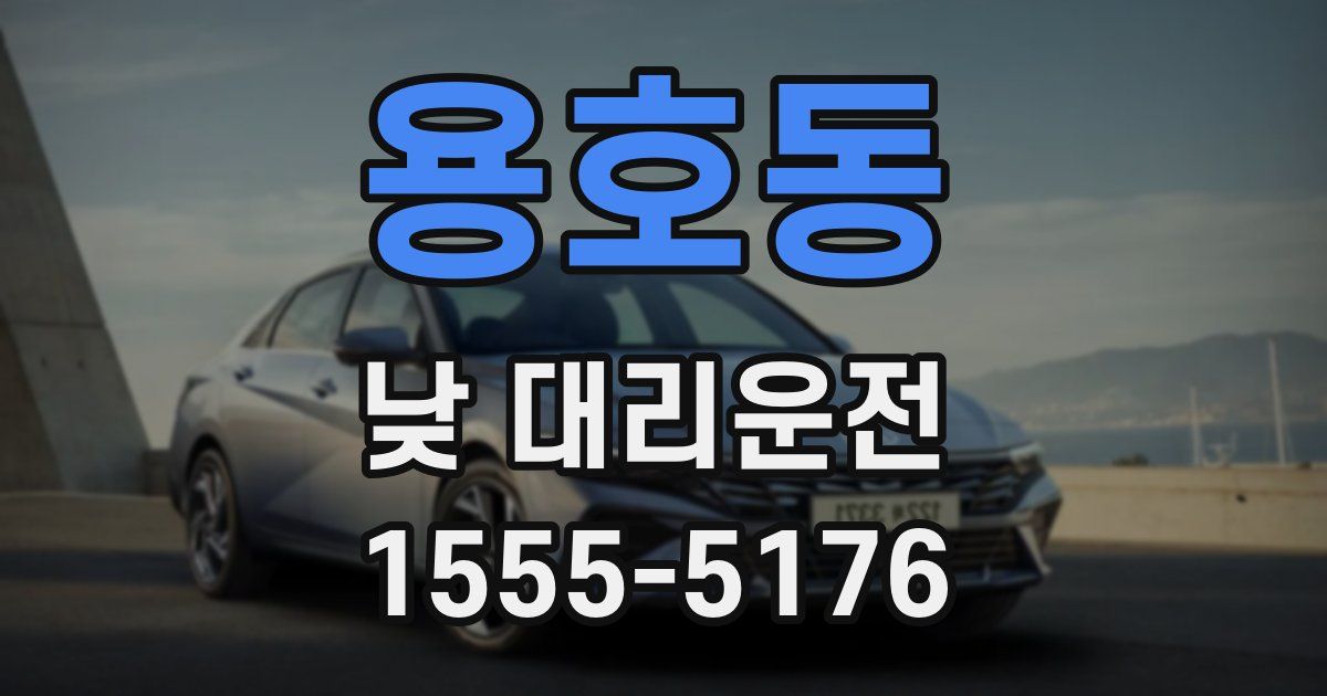 용호동 낮 대리운전