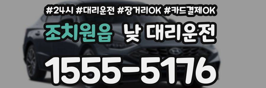 조치원읍 낮 대리운전