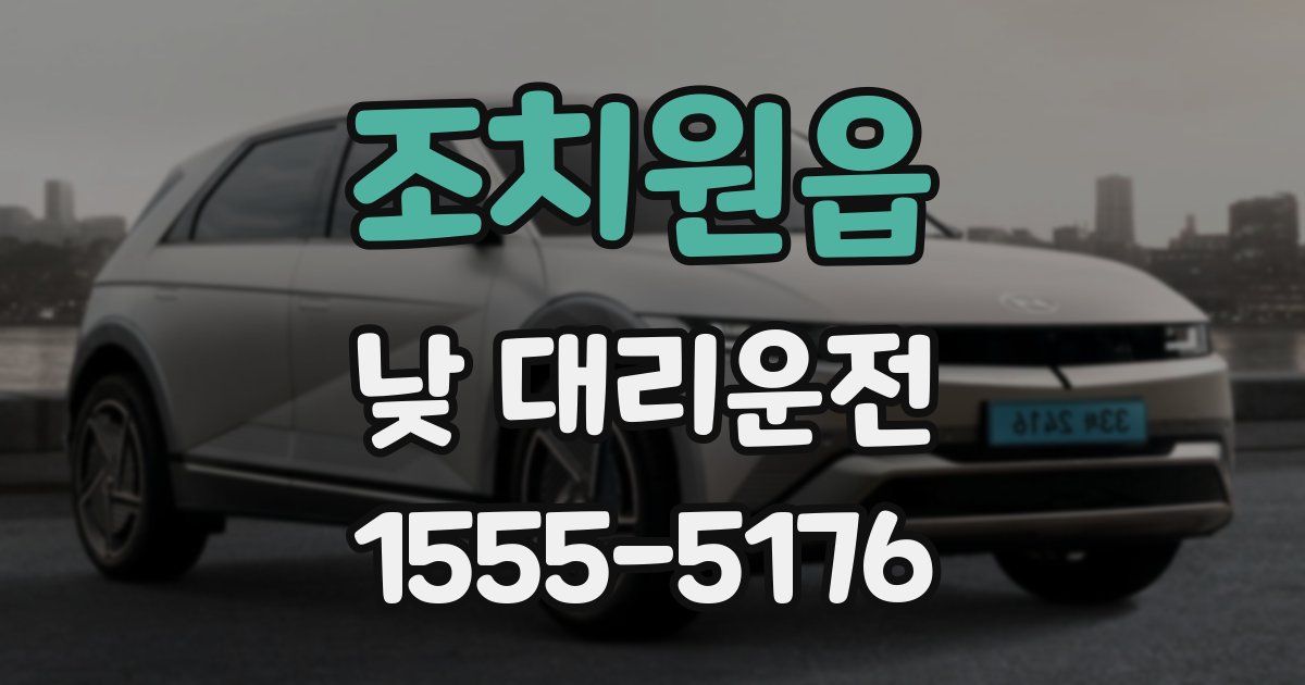 조치원읍 낮 대리운전