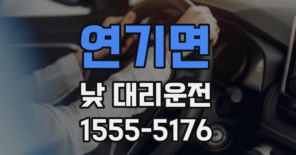 연기면 낮 대리운전