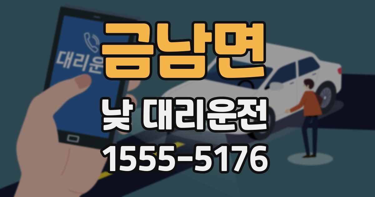 금남면 낮 대리운전