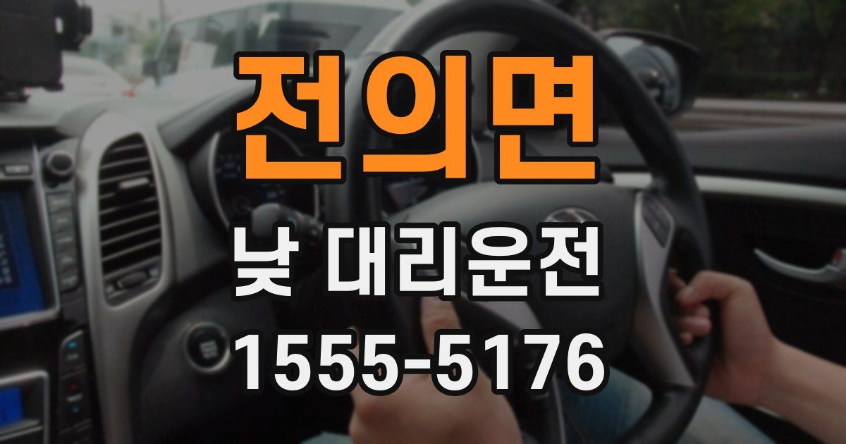 전의면 낮 대리운전