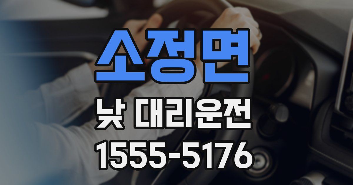 소정면 낮 대리운전