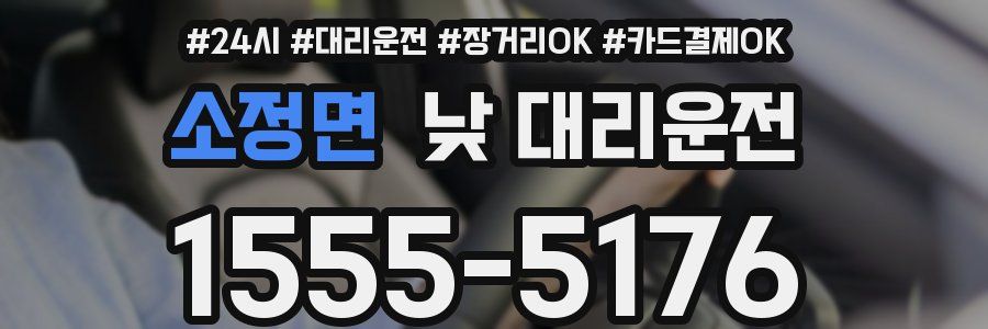 소정면 낮 대리운전