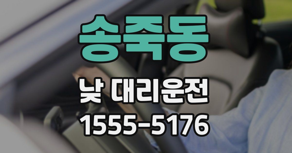 송죽동 낮 대리운전