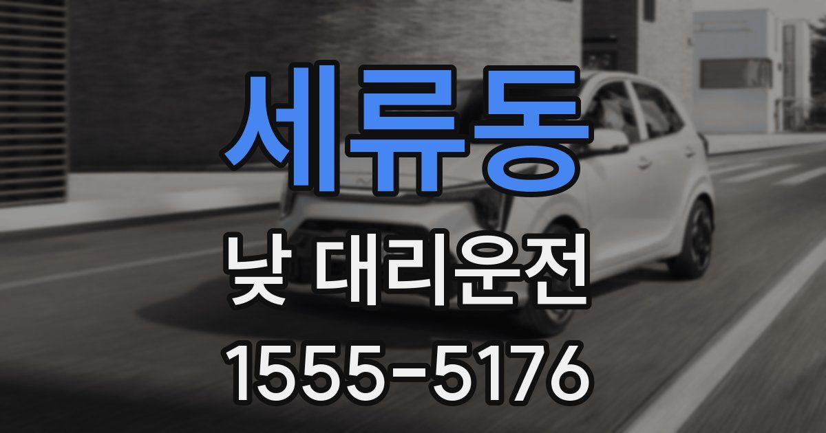 세류동 낮 대리운전
