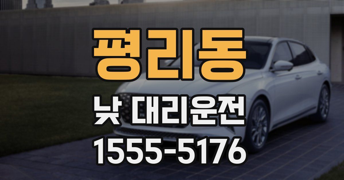 평리동 낮 대리운전