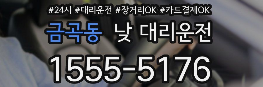 금곡동 낮 대리운전