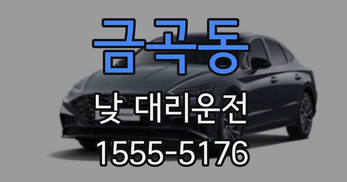 금곡동 낮 대리운전
