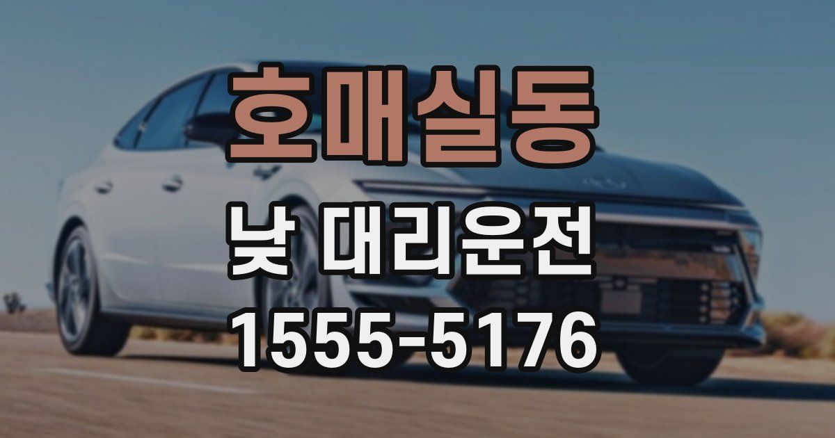 호매실동 낮 대리운전
