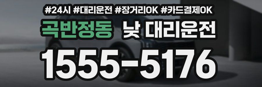 곡반정동 낮 대리운전