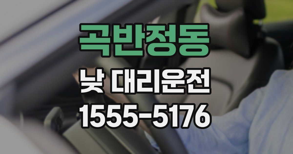 곡반정동 낮 대리운전