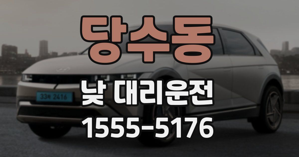 당수동 낮 대리운전