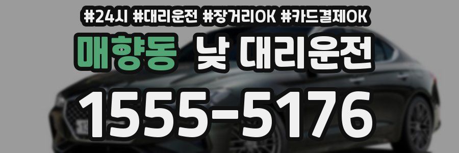매향동 낮 대리운전