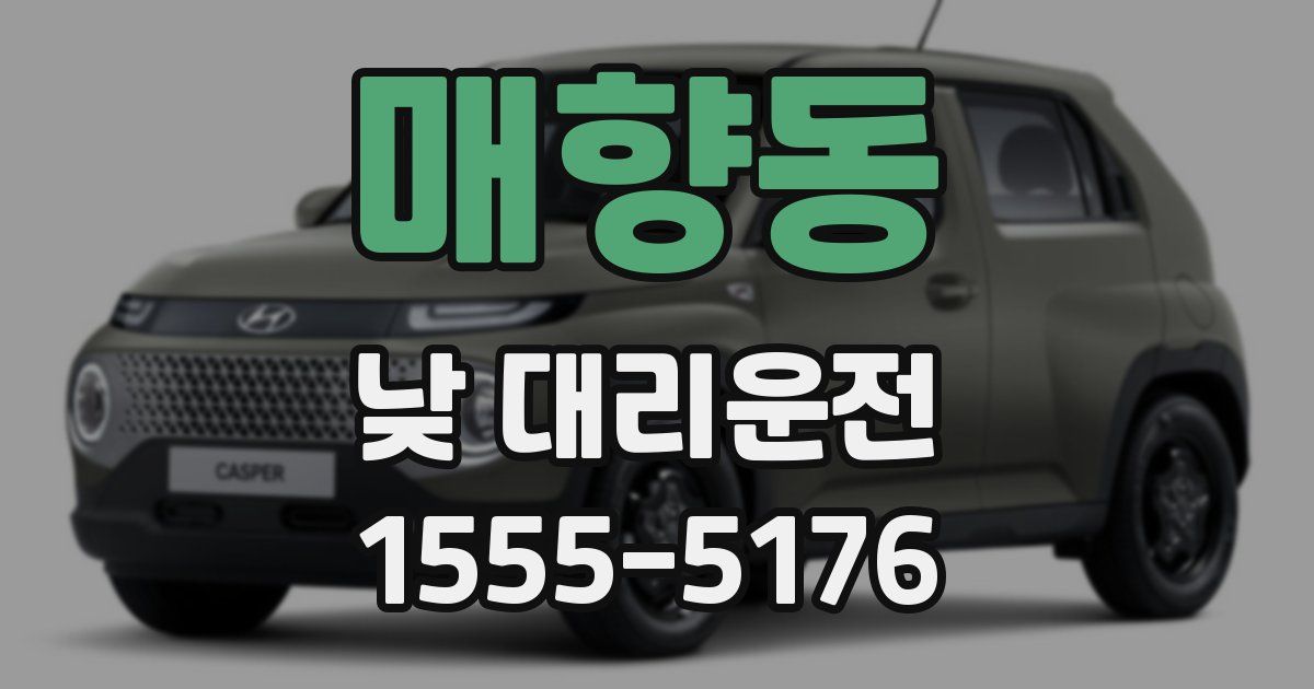 매향동 낮 대리운전
