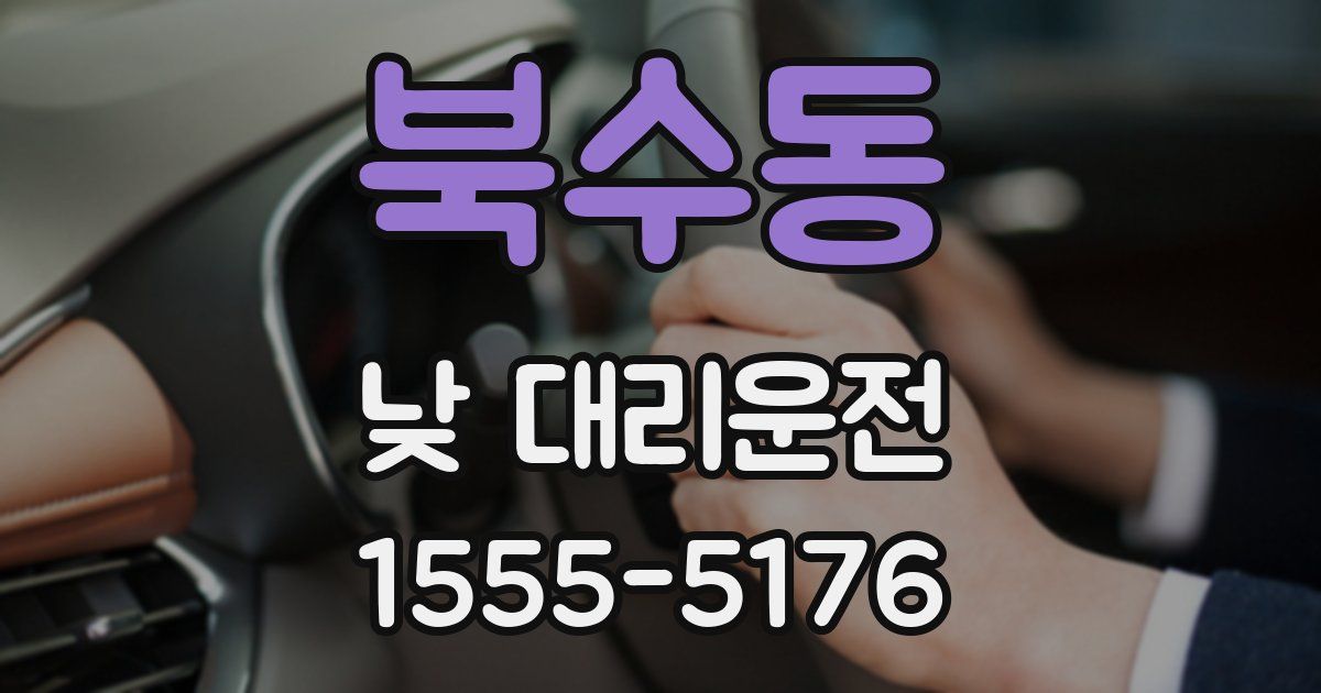 북수동 낮 대리운전