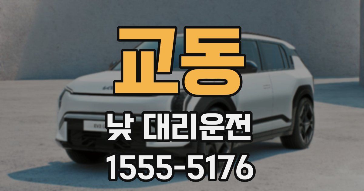 교동 낮 대리운전