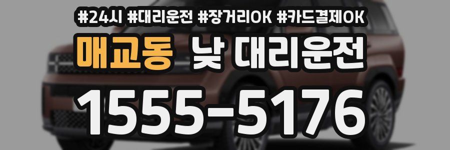 매교동 낮 대리운전