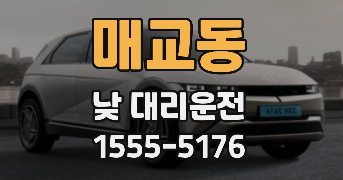 매교동 낮 대리운전
