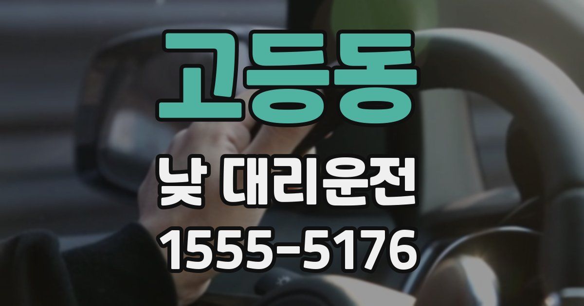 고등동 낮 대리운전