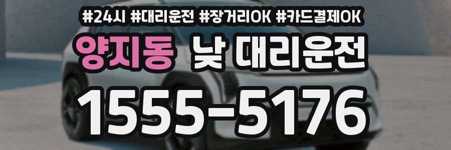 양지동 낮 대리운전