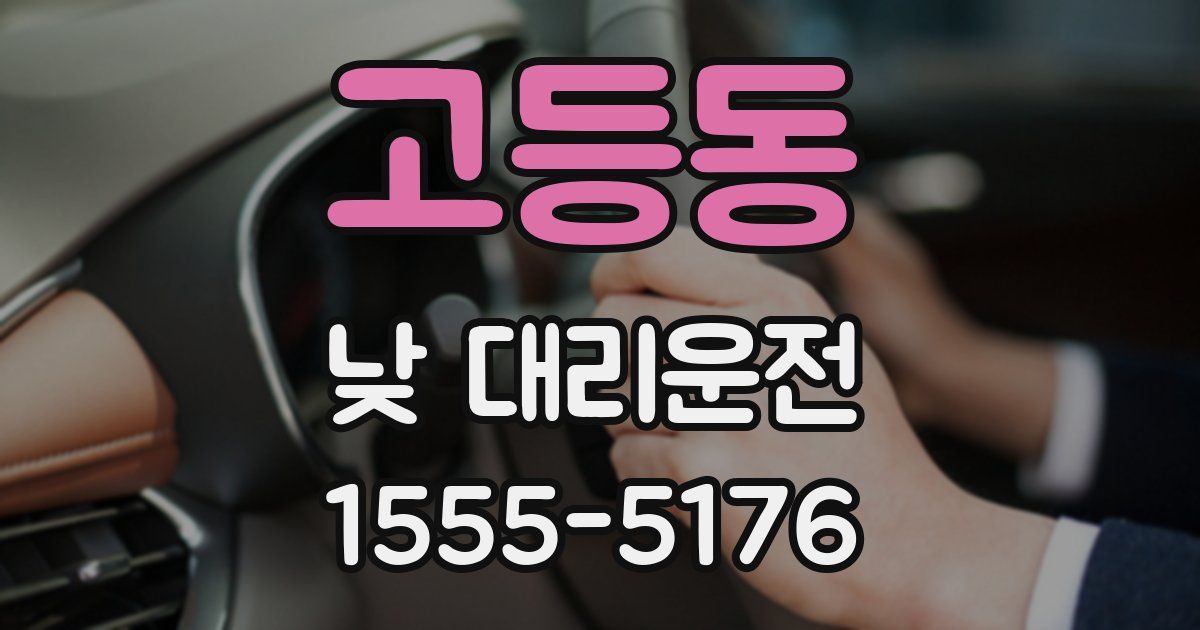 고등동 낮 대리운전
