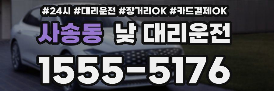 사송동 낮 대리운전