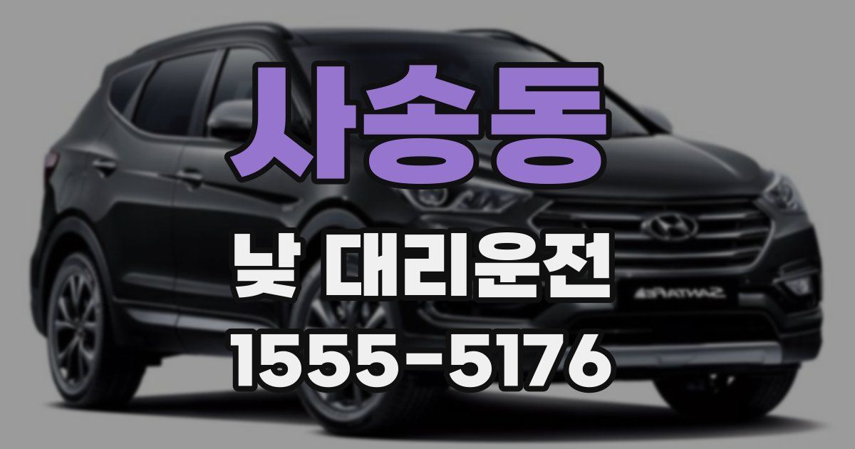 사송동 낮 대리운전