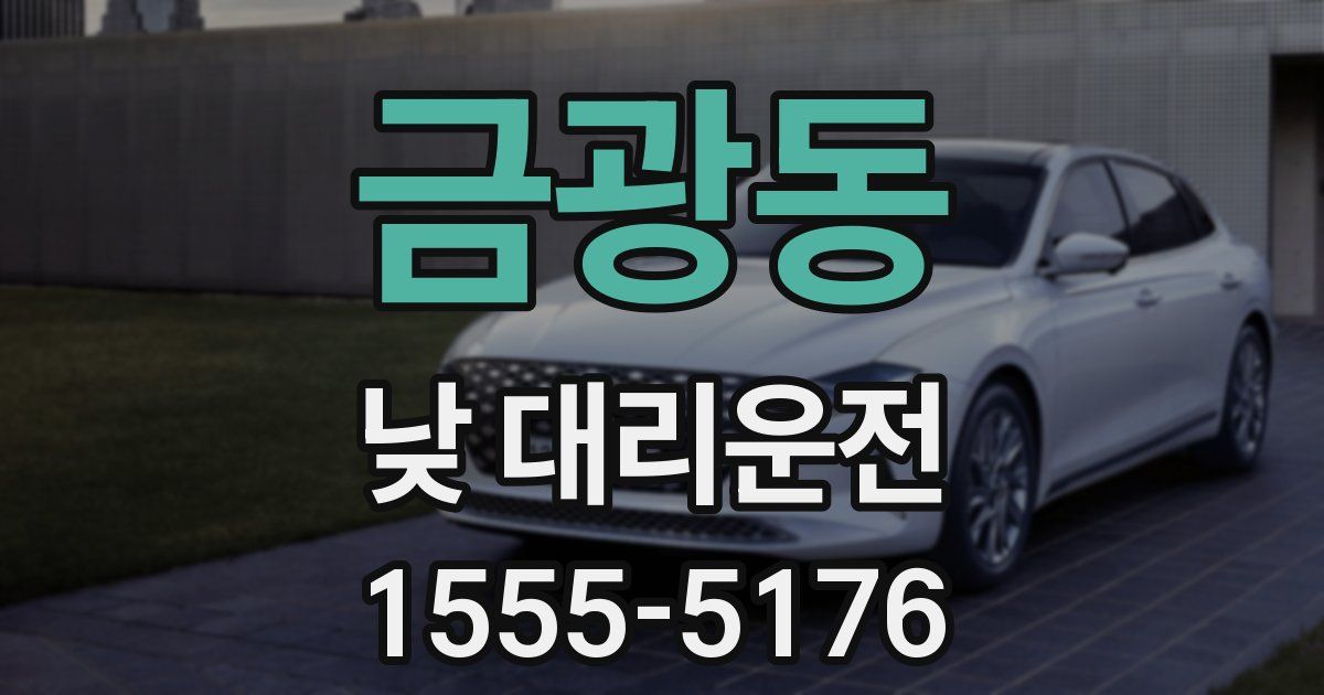 금광동 낮 대리운전