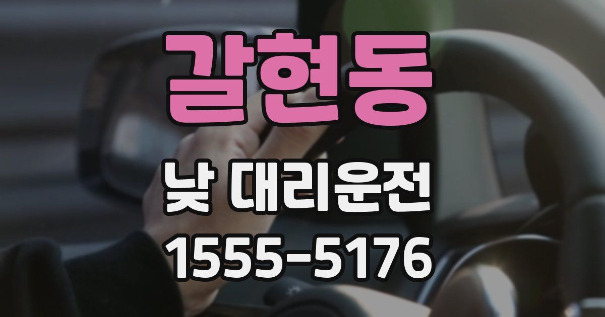 갈현동 낮 대리운전