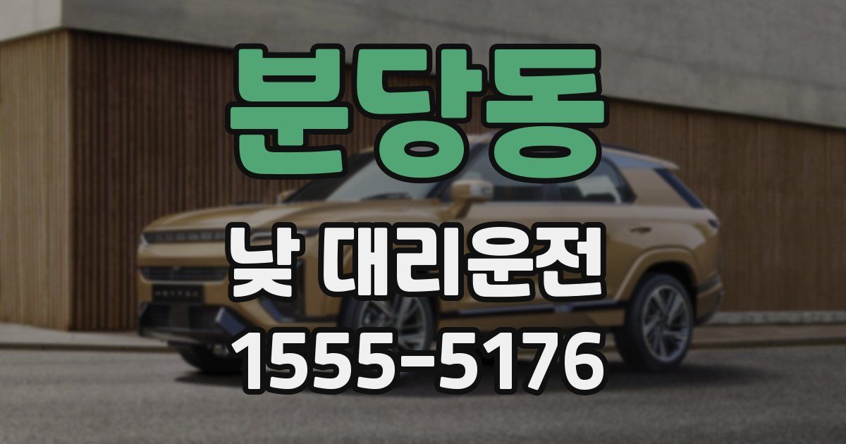 분당동 낮 대리운전